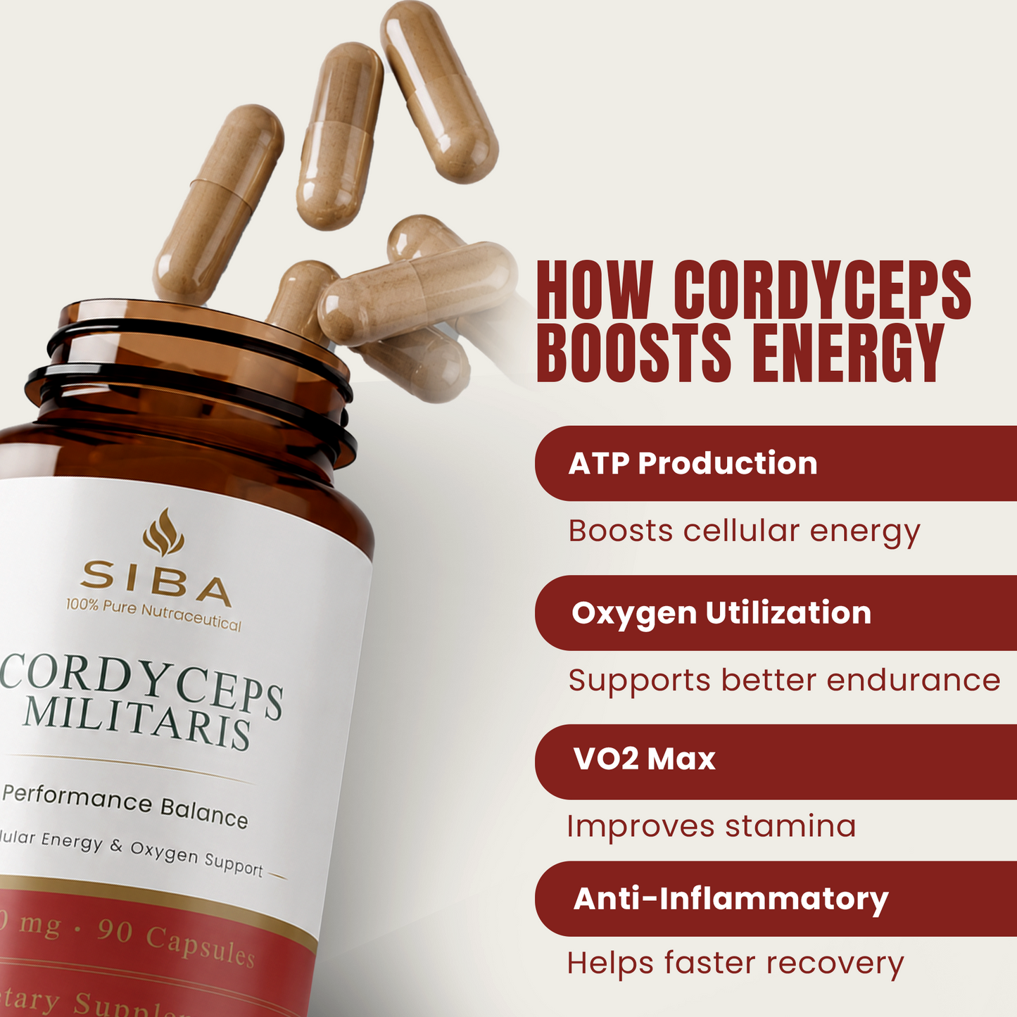 Cordyceps Militaris Mushroom Capsules - Renee Lane Company