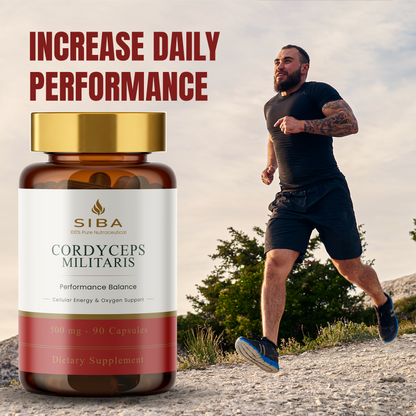 Cordyceps Militaris Mushroom Capsules - Renee Lane Company