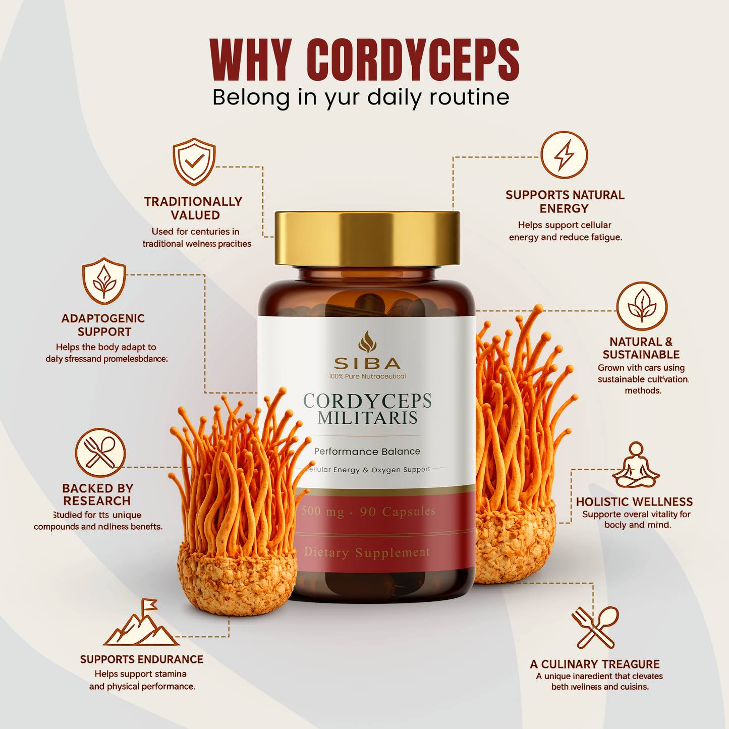 Cordyceps Militaris Mushroom Capsules - Renee Lane Company