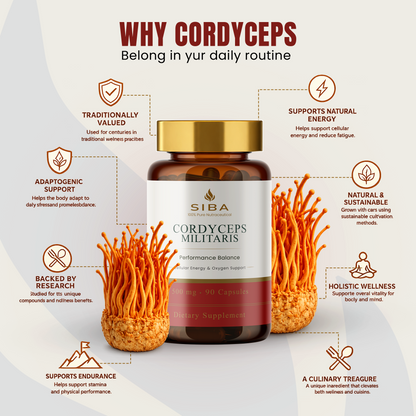 Cordyceps Militaris Mushroom Capsules - Renee Lane Company