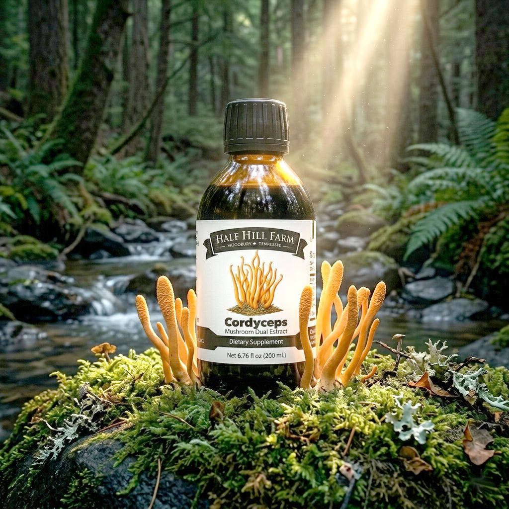 Cordyceps Mushroom Dual Extract - Renee Lane Company