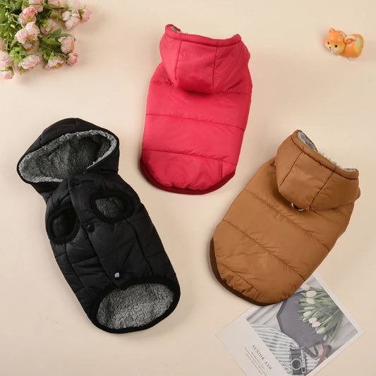 Cozy Hooded Pet Jacket - Renee Lane Company