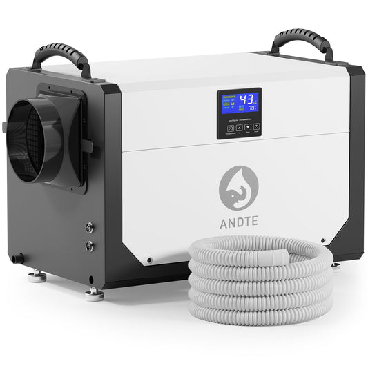 Basement dehumidifier with white body, black air fan, and front digital display