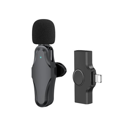 Cross border new 2.4G wireless lavalier microphone Tiktok live broadcast microphone outdoor interview recording professional wireless microphone - Renee Lane Company