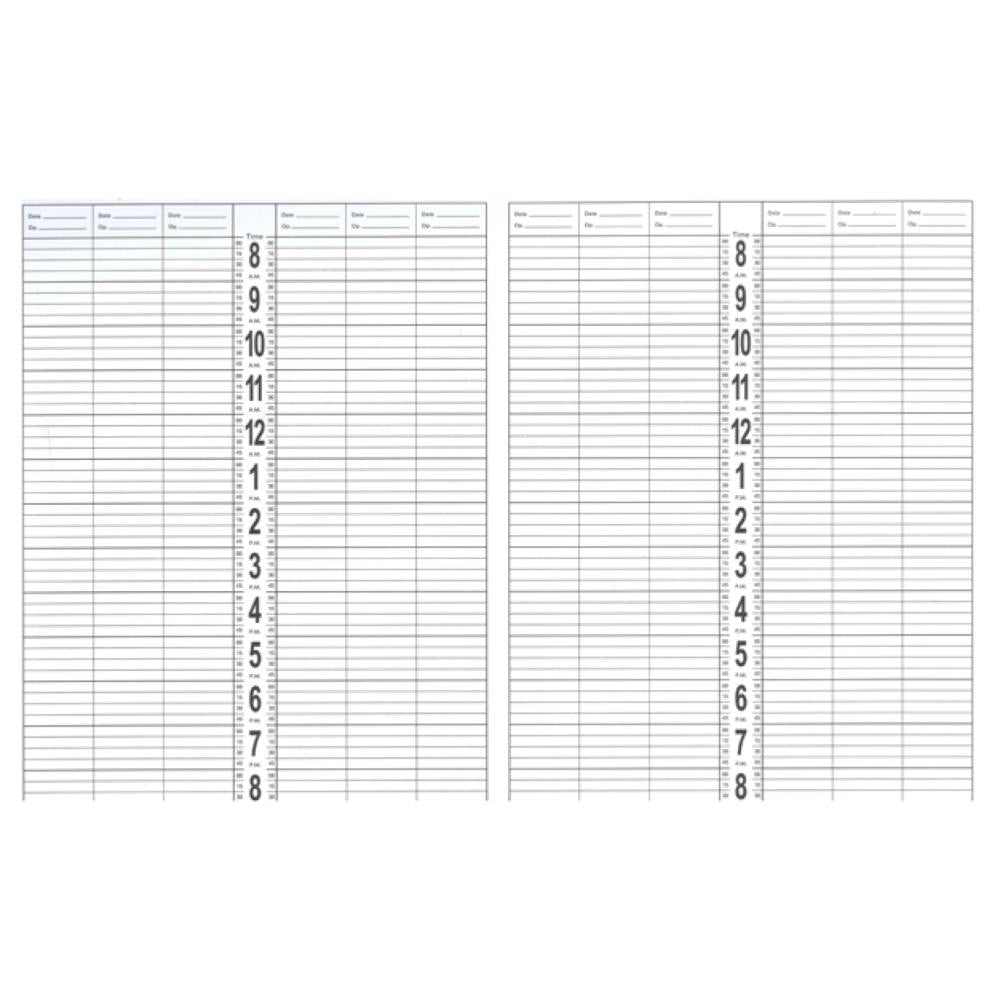 Debra Lynn Professional Large Appointment Book - 12 Column
