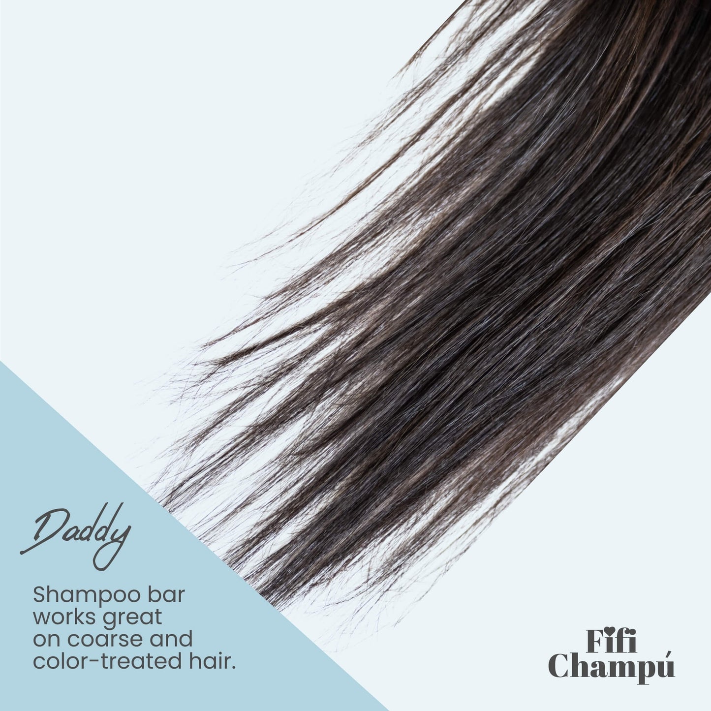 Daddy Shampoo Bar: The BEST Eco-Friendly Hair Care for Damaged and Frizzy Hair - Renee Lane Company