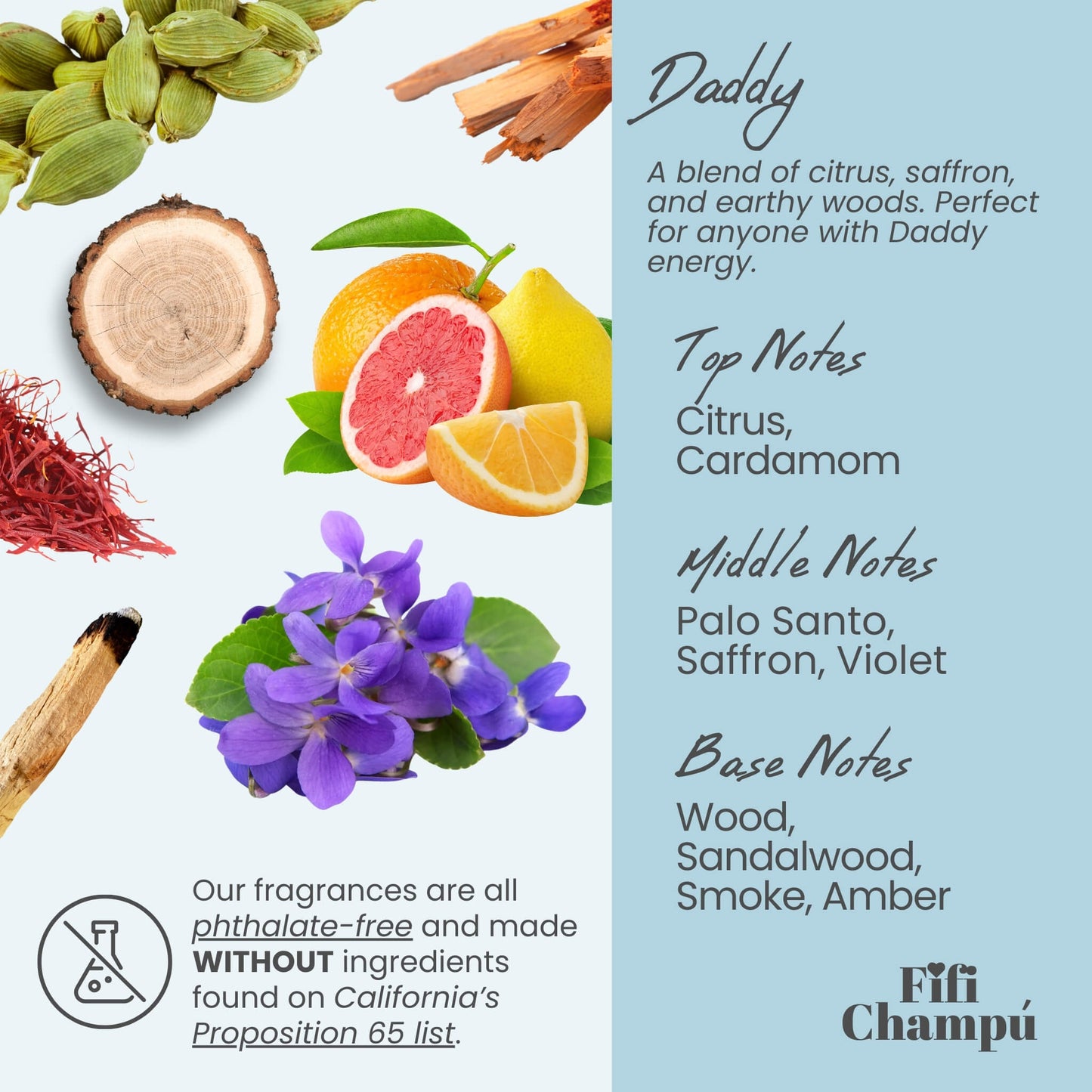 Daddy Shampoo Bar: The BEST Eco-Friendly Hair Care for Damaged and Frizzy Hair - Renee Lane Company