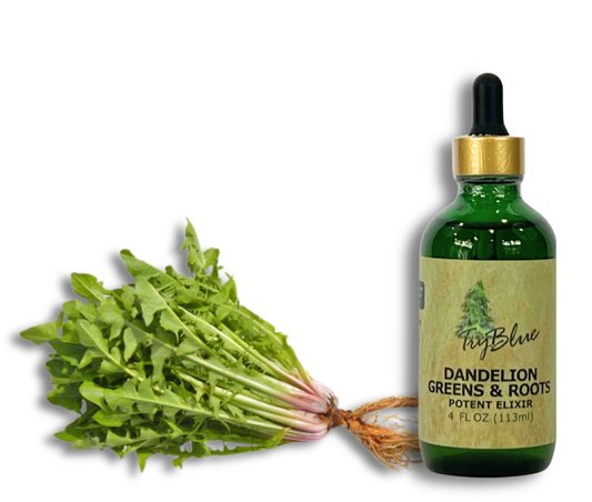 Dandelion Greens & Roots Elixir - Renee Lane Company