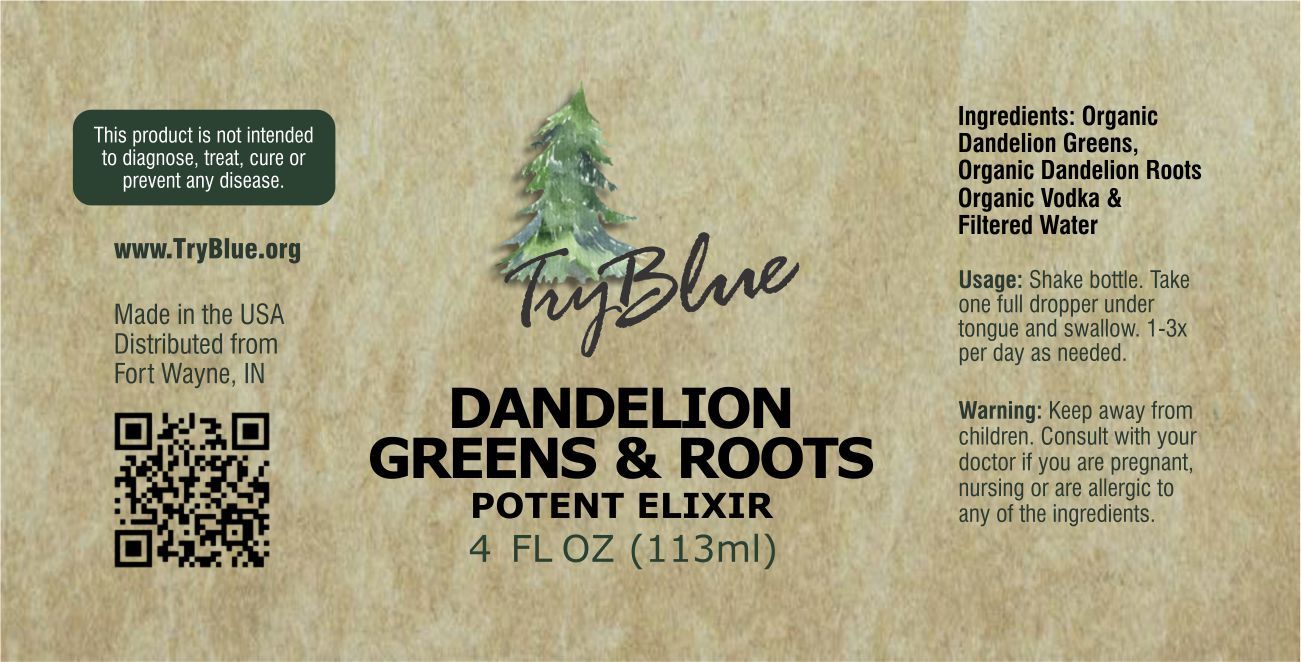 Dandelion Greens & Roots Elixir - Renee Lane Company