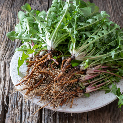 Dandelion Greens & Roots Elixir - Renee Lane Company