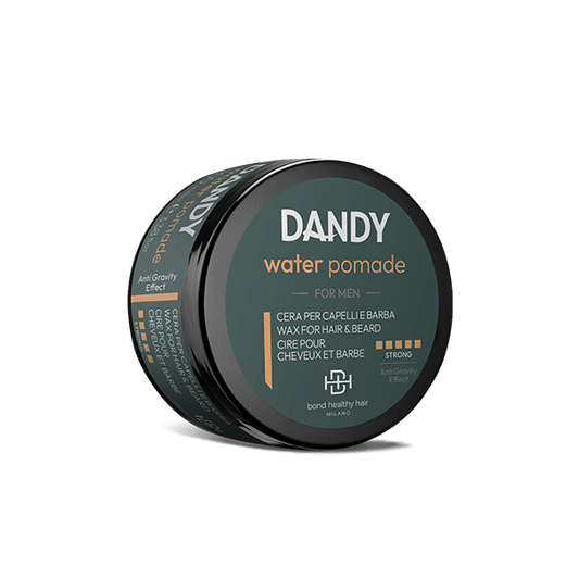 Dandy Water Pomade - Renee Lane Company