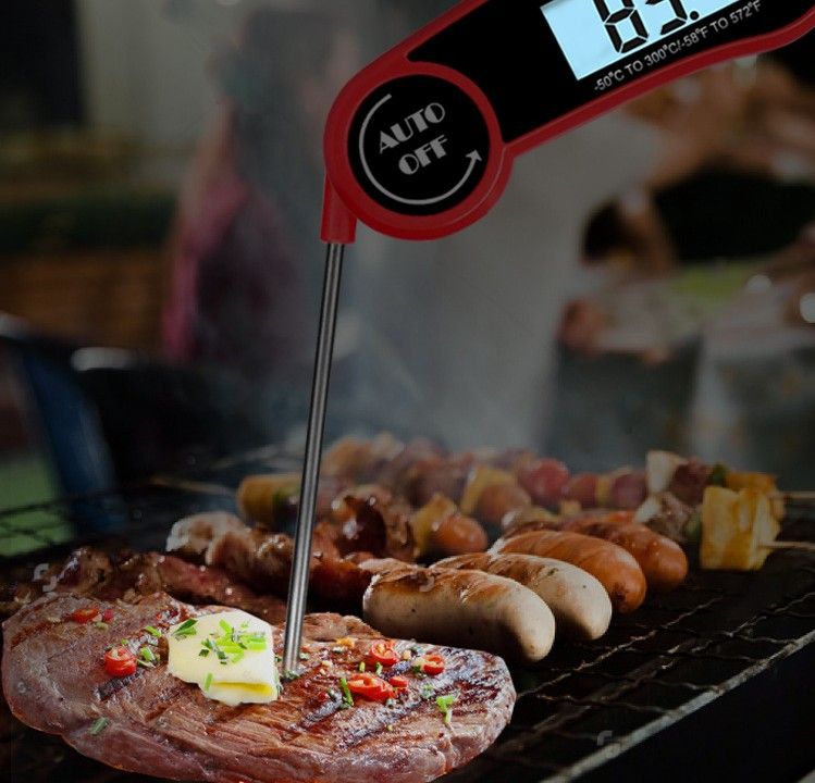 Digital Meat Thermometer with Probe - Waterproof;  Kitchen Instant Read Food Thermometer for Cooking;  Baking;  Liquids;  Candy;  Grilling BBQ & Air Fryer - Renee Lane Company