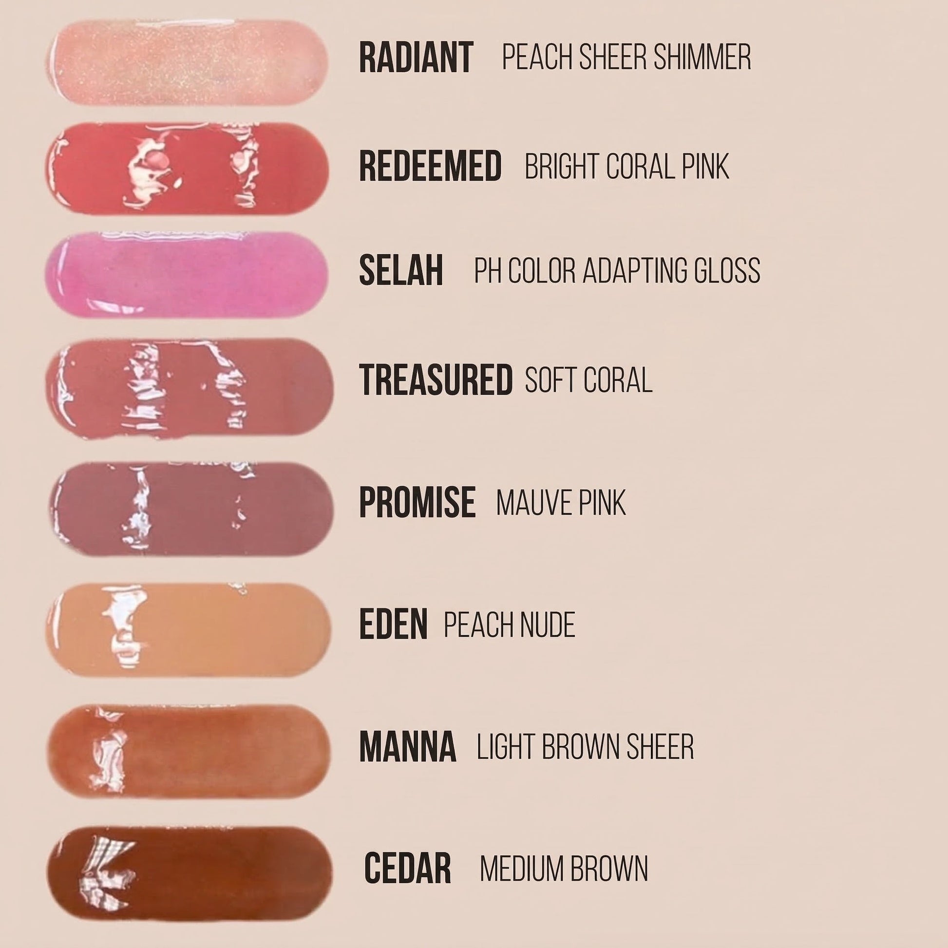 Divine Shine Lip Gloss - Renee Lane Company