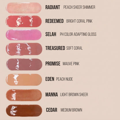 Divine Shine Lip Gloss - Renee Lane Company