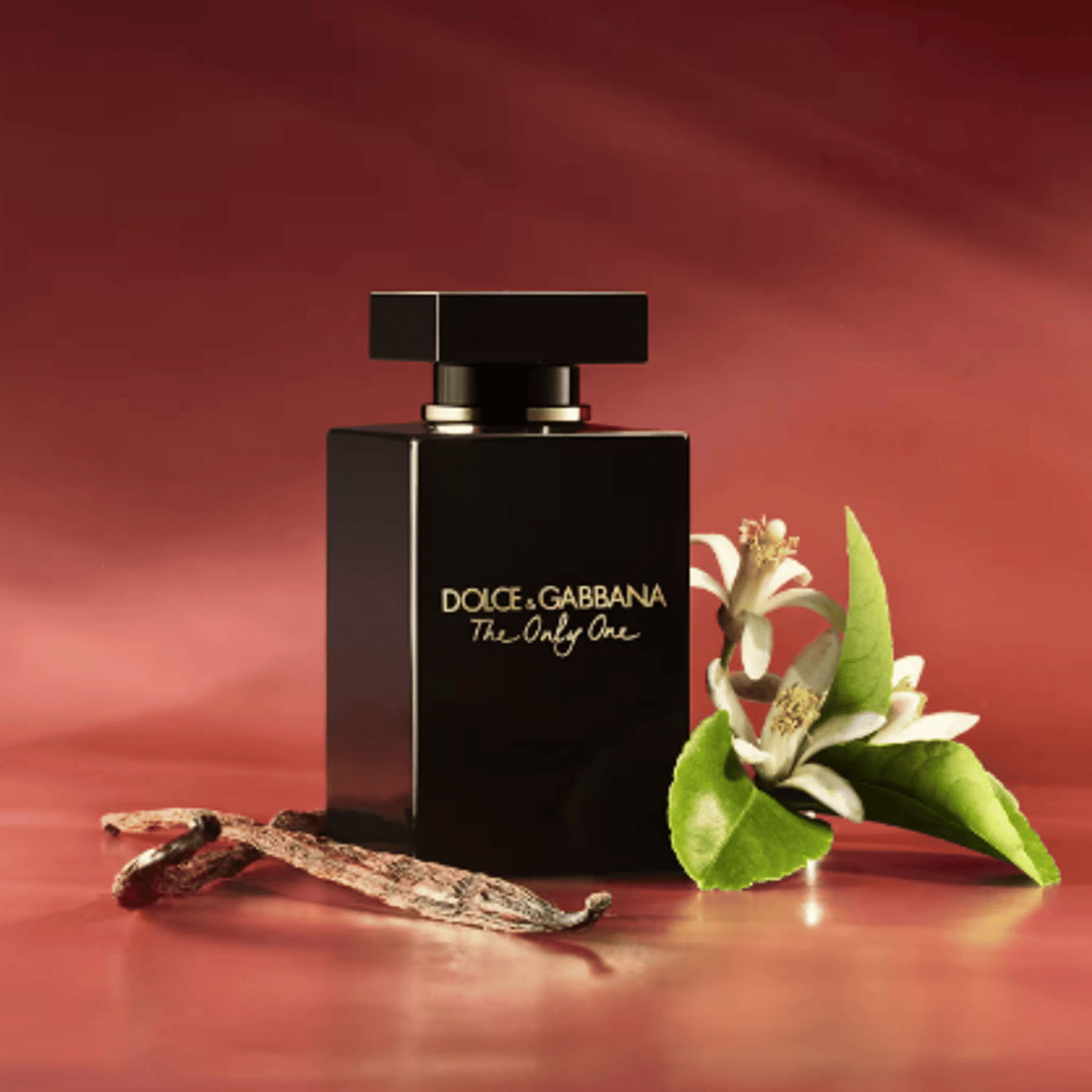 Dolce & Gabbana The Only One Intense EDP Spray For Women - Renee Lane Company