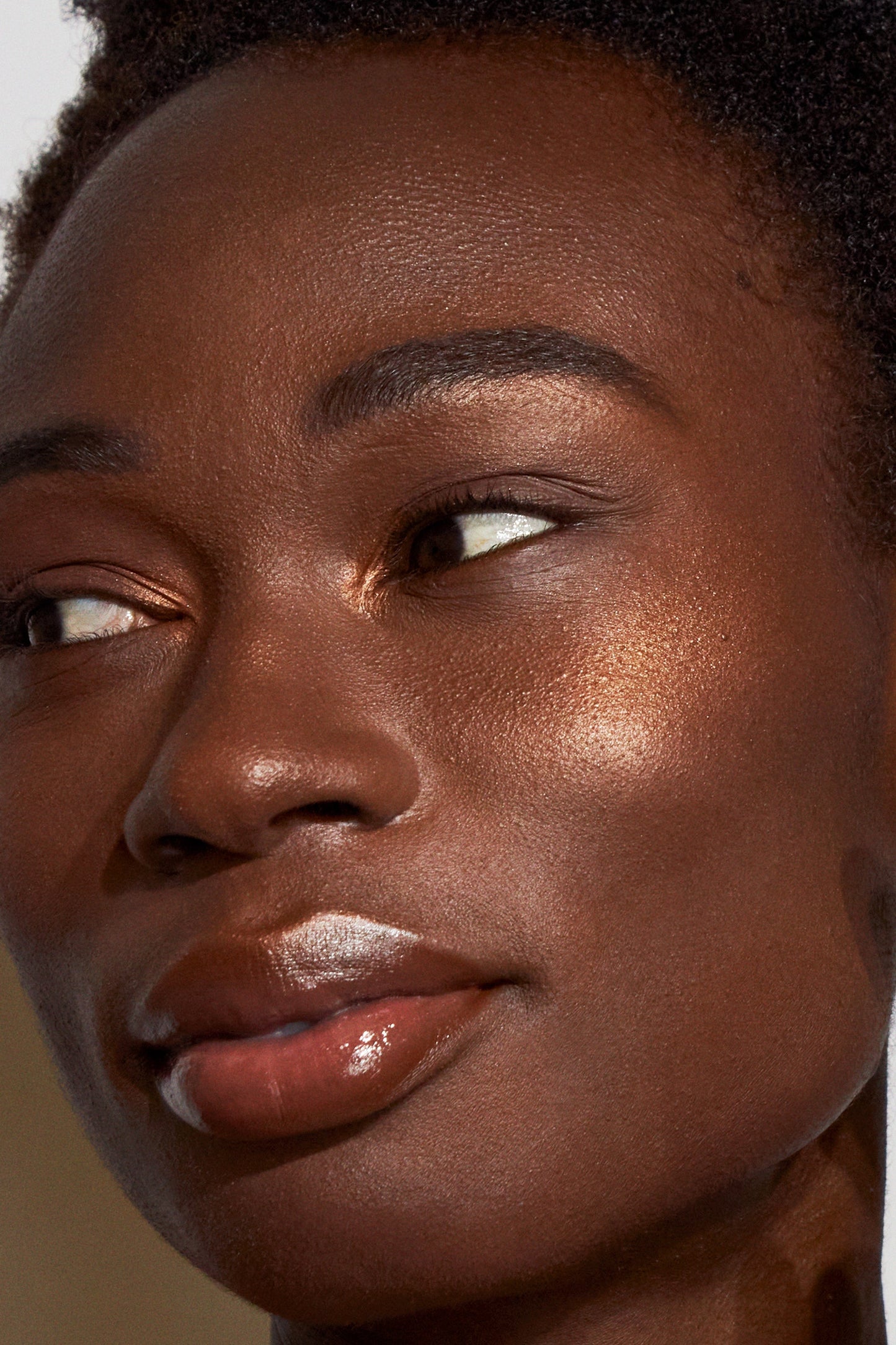 Double Take Skin Perfecting Highlighter - Renee Lane Company