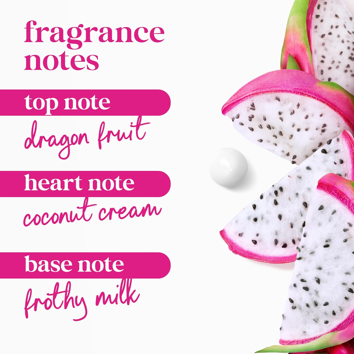 Dove Body Wash Replenish Dragon Fruit and Coconut Cream For 24hr Lotion-Soft Skin Moisturizing Skin Cleanser with No Sulfates No Parabens 30.6 oz - Renee Lane Company