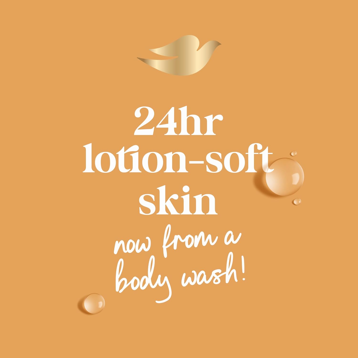 Dove Body Wash with Pump Dryness Relief with Jojoba Oil For 24hr Lotion-Soft Skin Moisturizing Skin Cleanser with No Sulfates No Parabens 30.6 oz - Renee Lane Company