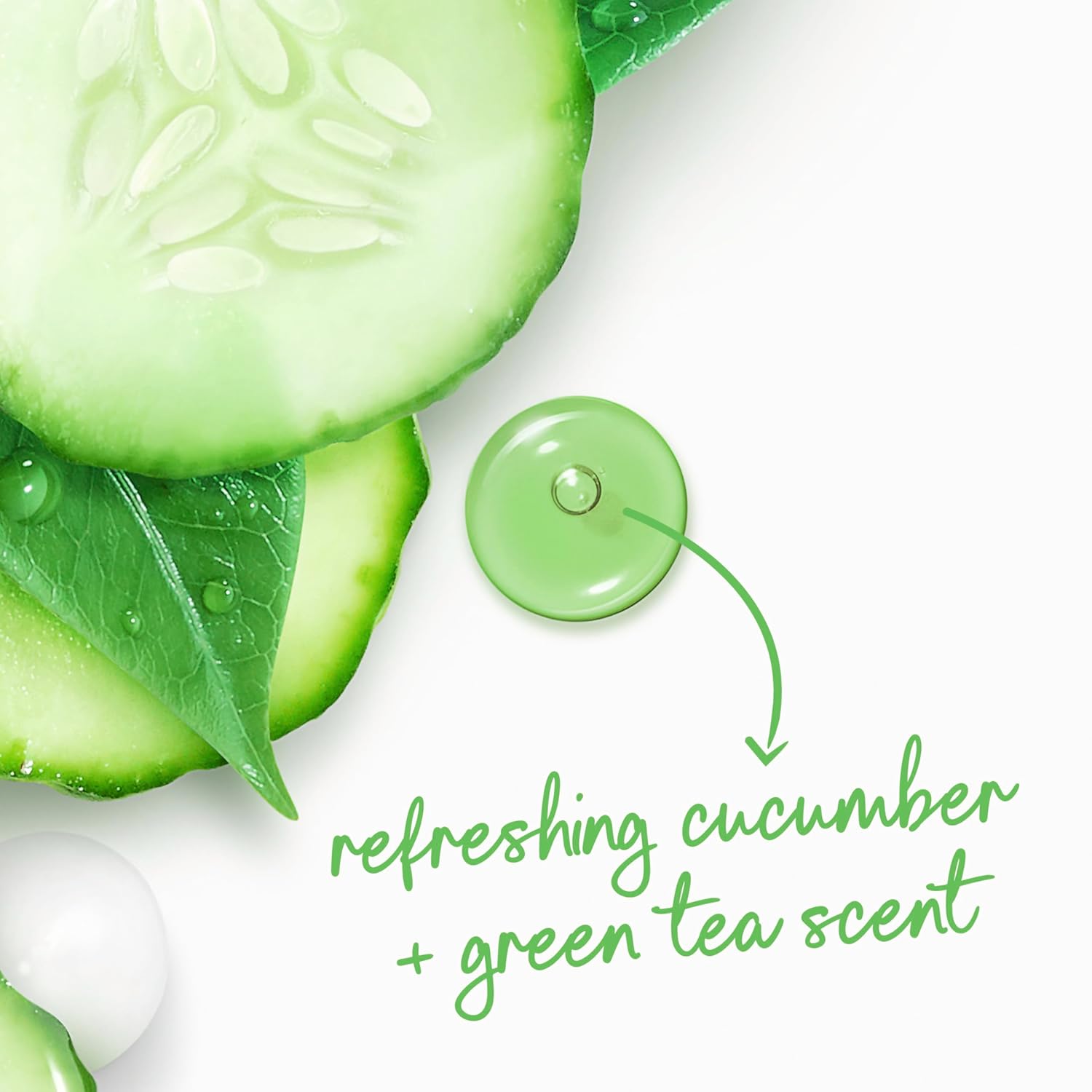 Dove Body Wash with Pump Refresh Cucumber and Green Tea for 24hr Lotion-Soft Skin Moisturizing Skin Cleanser with No Sulfates No Parabens 30.6 oz - Renee Lane Company