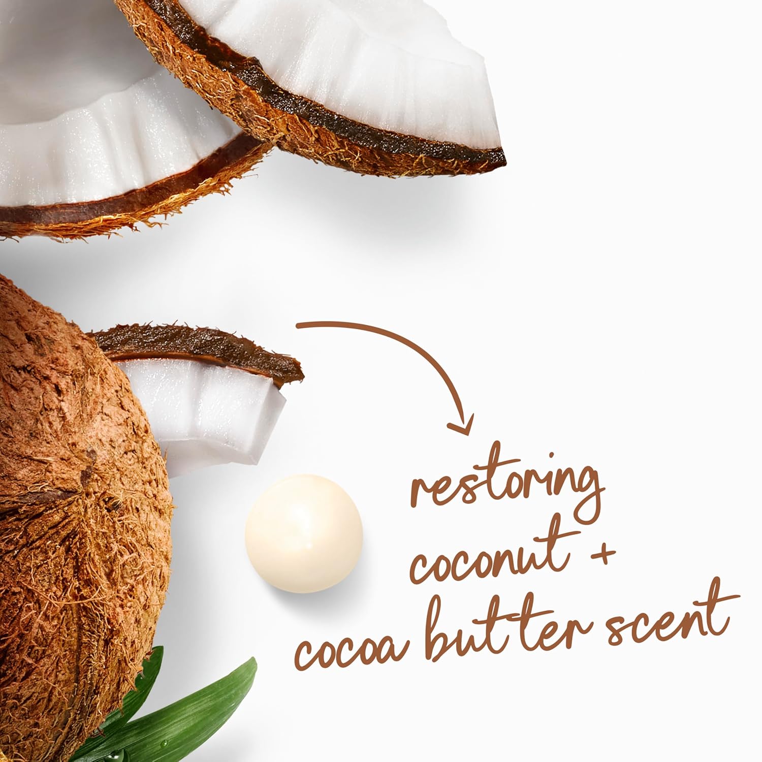 Dove Body Wash with Pump Restore Coconut & Cocoa Butter for 24hr Lotion-Soft Skin Moisturizing Skin Cleanser with No Sulfates No Parabens 30.6 Oz - Renee Lane Company