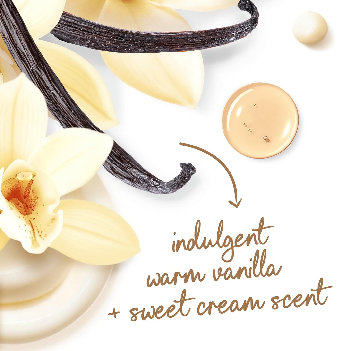 Dove Indulge Body Wash Warm Vanilla + Sweet Cream for Hydrated & Soft Skin 20 FO - Renee Lane Company