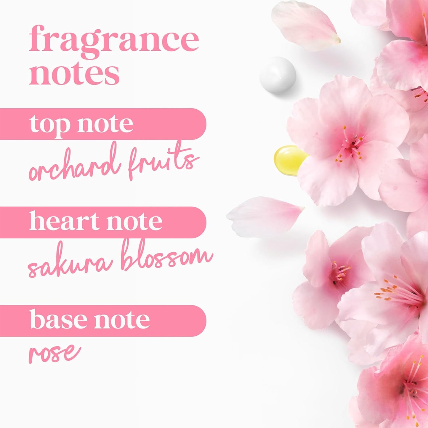 Dove Sakura Body Wash Uplift Sakura Blossom and Yuzu for 24hr Lotion-Soft Skin Moisturizing Skin Cleanser with No Sulfates No Parabens 30.6 Fl Oz - Renee Lane Company