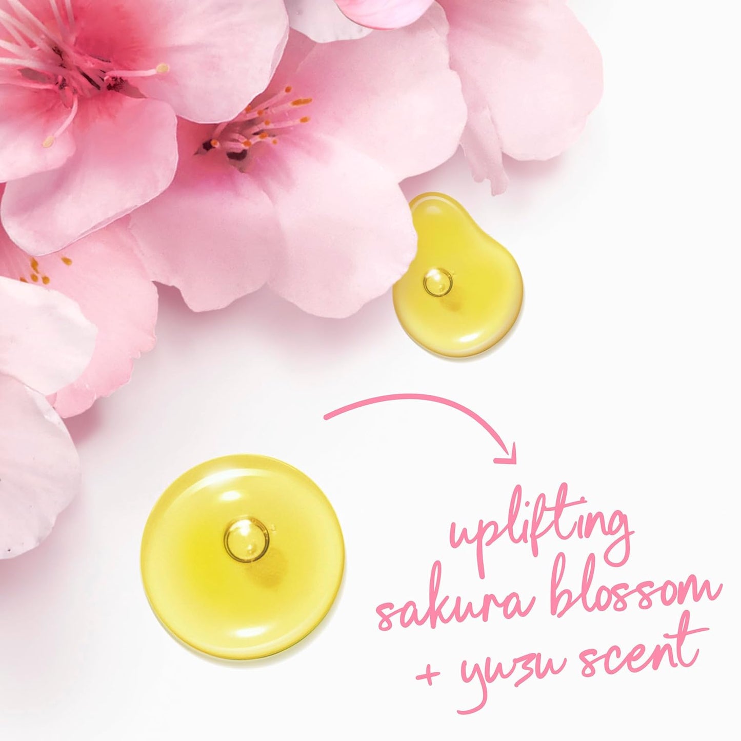 Dove Sakura Body Wash Uplift Sakura Blossom and Yuzu for 24hr Lotion-Soft Skin Moisturizing Skin Cleanser with No Sulfates No Parabens 30.6 Fl Oz - Renee Lane Company