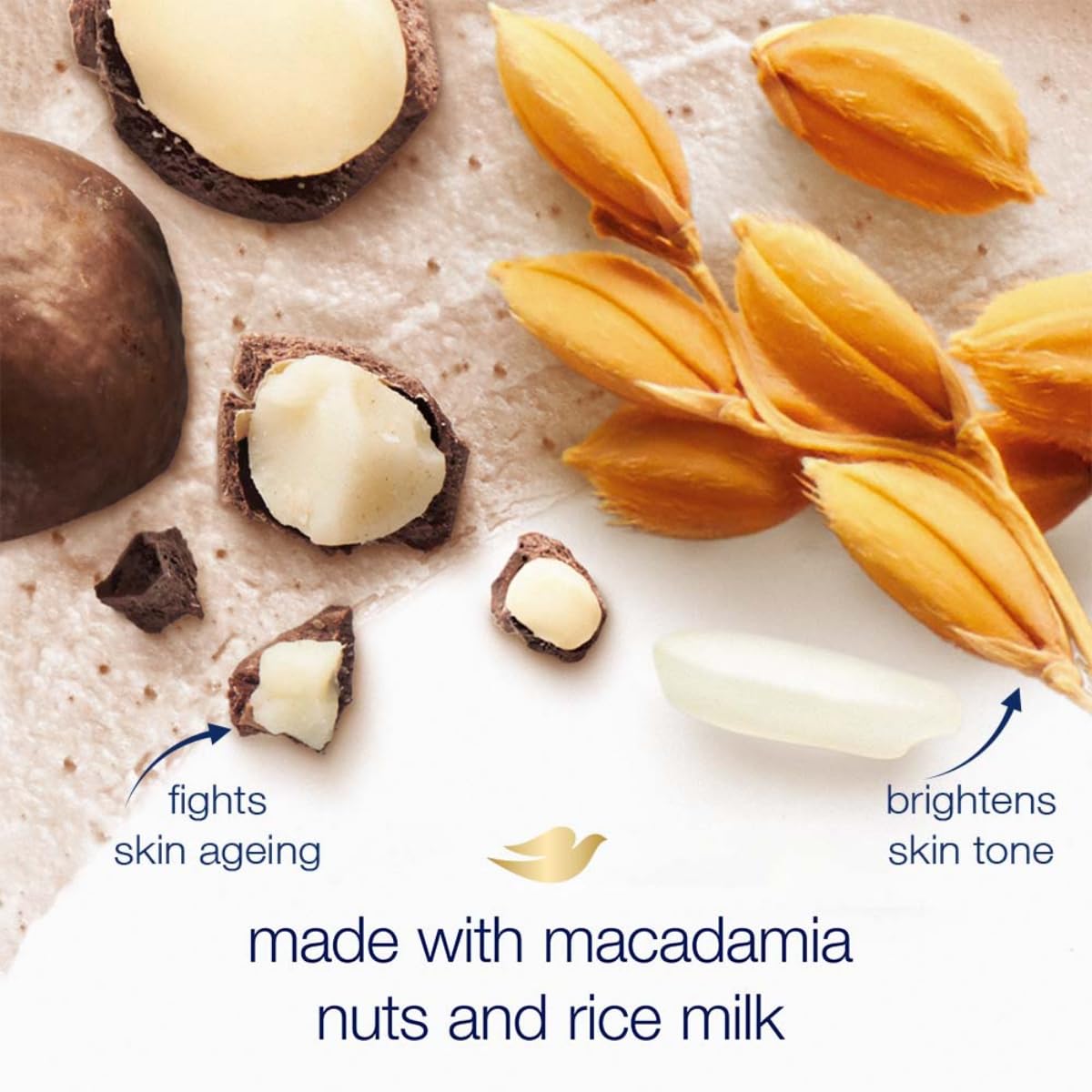 Dove Scrub Macadamia & Rice Milk Reveals Visibly Smoother Skin Body Scrub That Nourishes Skin 10.5 oz - Renee Lane Company