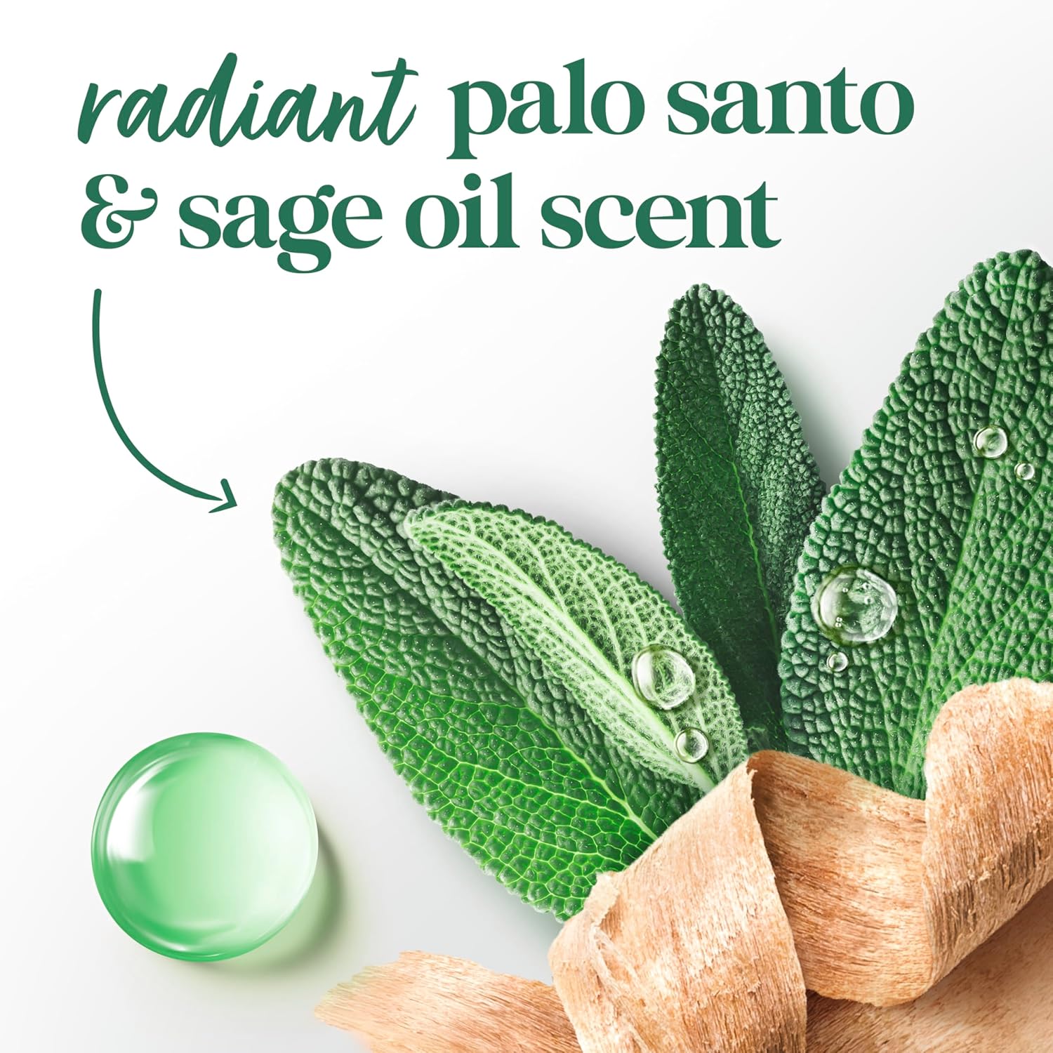 Dove Solid Stick Palo Santo & Sage for 72-Hour Sweat and Odor Protection Alcohol Free 2.6 oz - Renee Lane Company