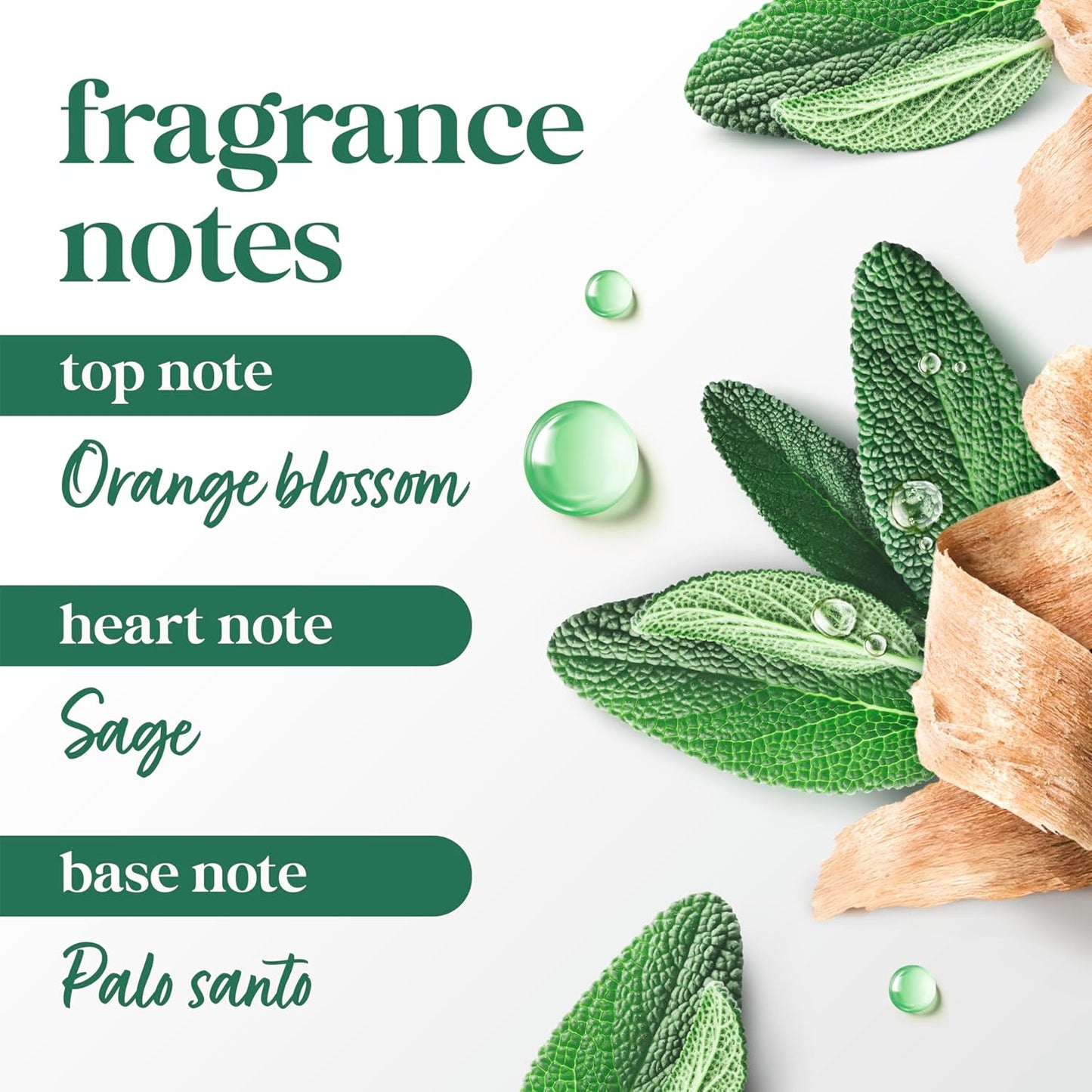 Dove Solid Stick Palo Santo & Sage for 72-Hour Sweat and Odor Protection Alcohol Free 2.6 oz - Renee Lane Company