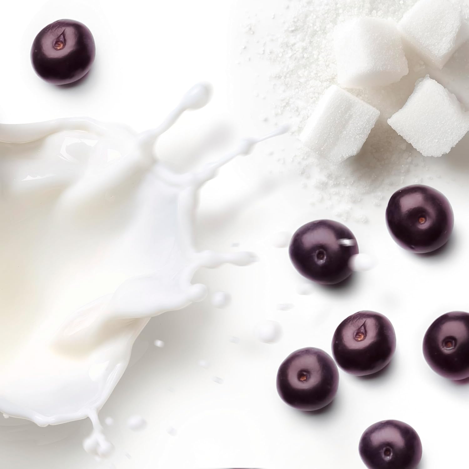 Dove Whipped Shower Foam for Women Rice Milk & Velvet Açaí for Hydrated & Soft Skin 10.3 FO - Renee Lane Company