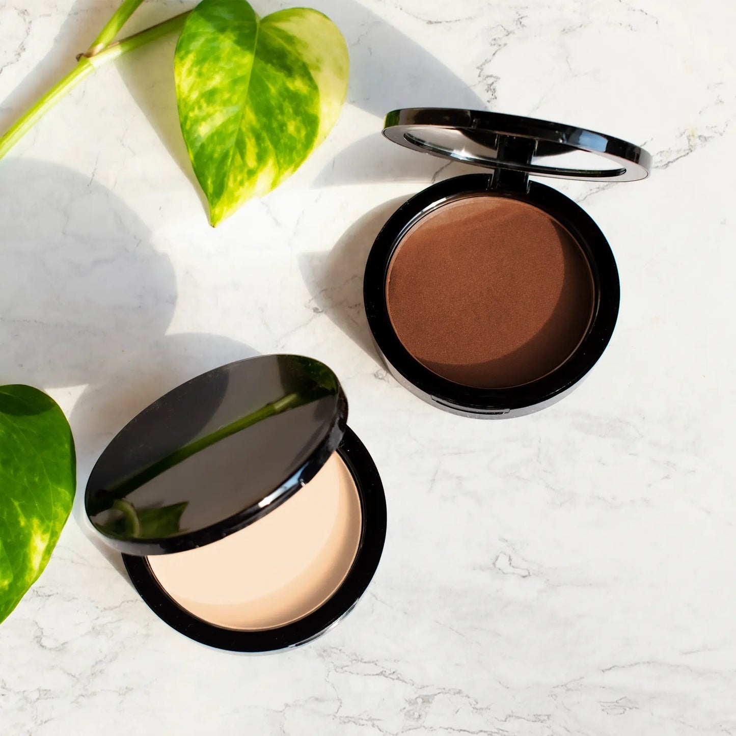 Dual Blend Powder Foundation - Renee Lane Company