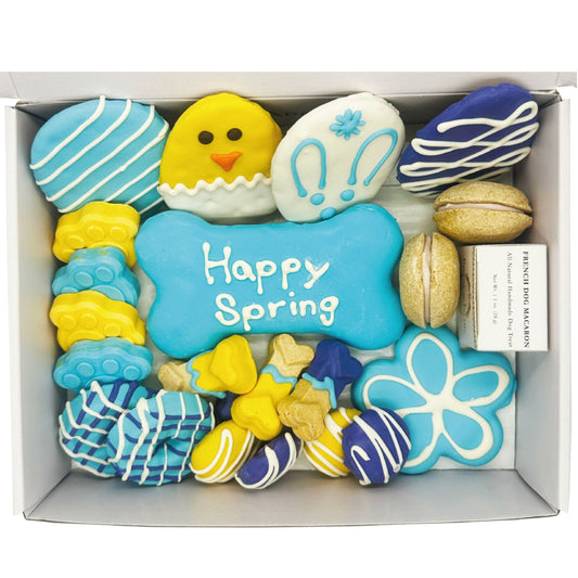 Easter-Spring Themed Dog Treats Gift Box - Renee Lane Company