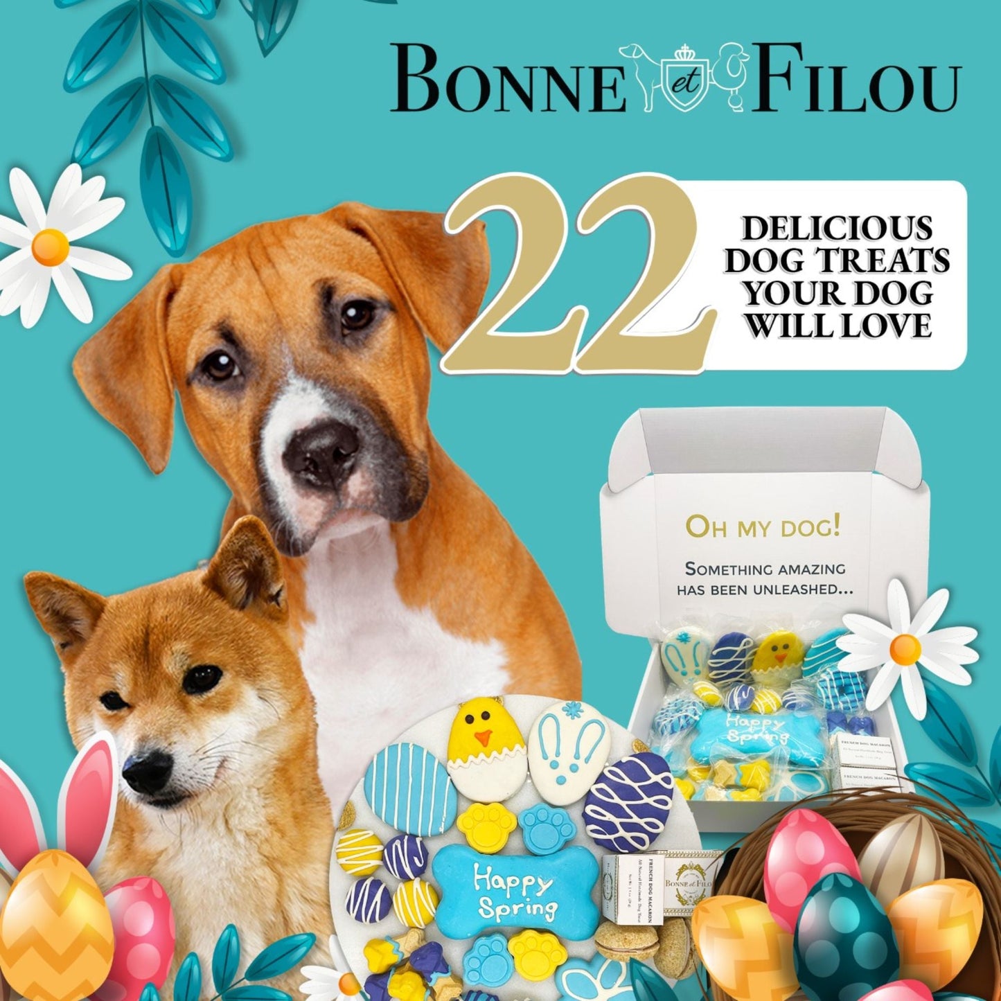 Easter-Spring Themed Dog Treats Gift Box - Renee Lane Company