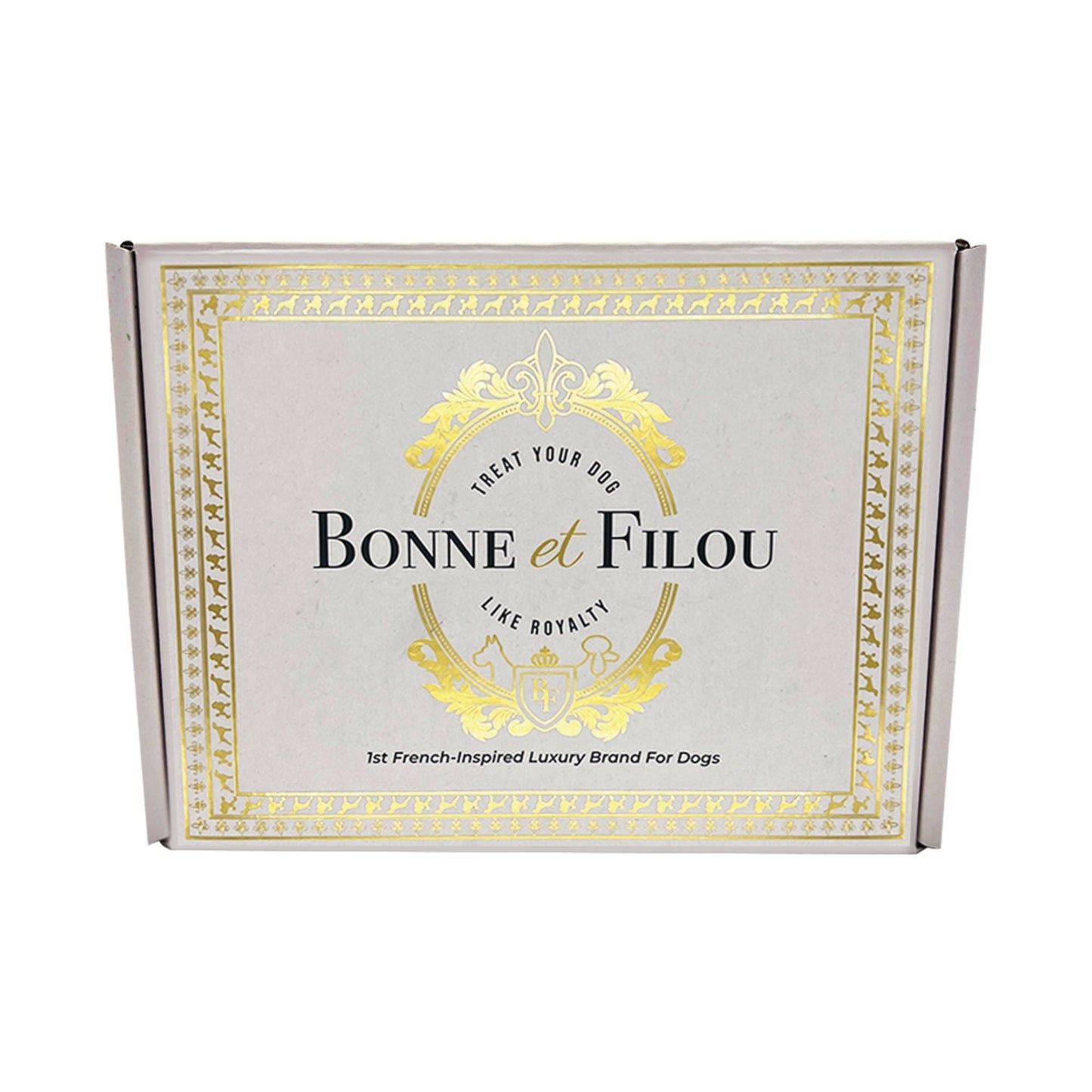 Easter-Spring Themed Dog Treats Gift Box - Renee Lane Company