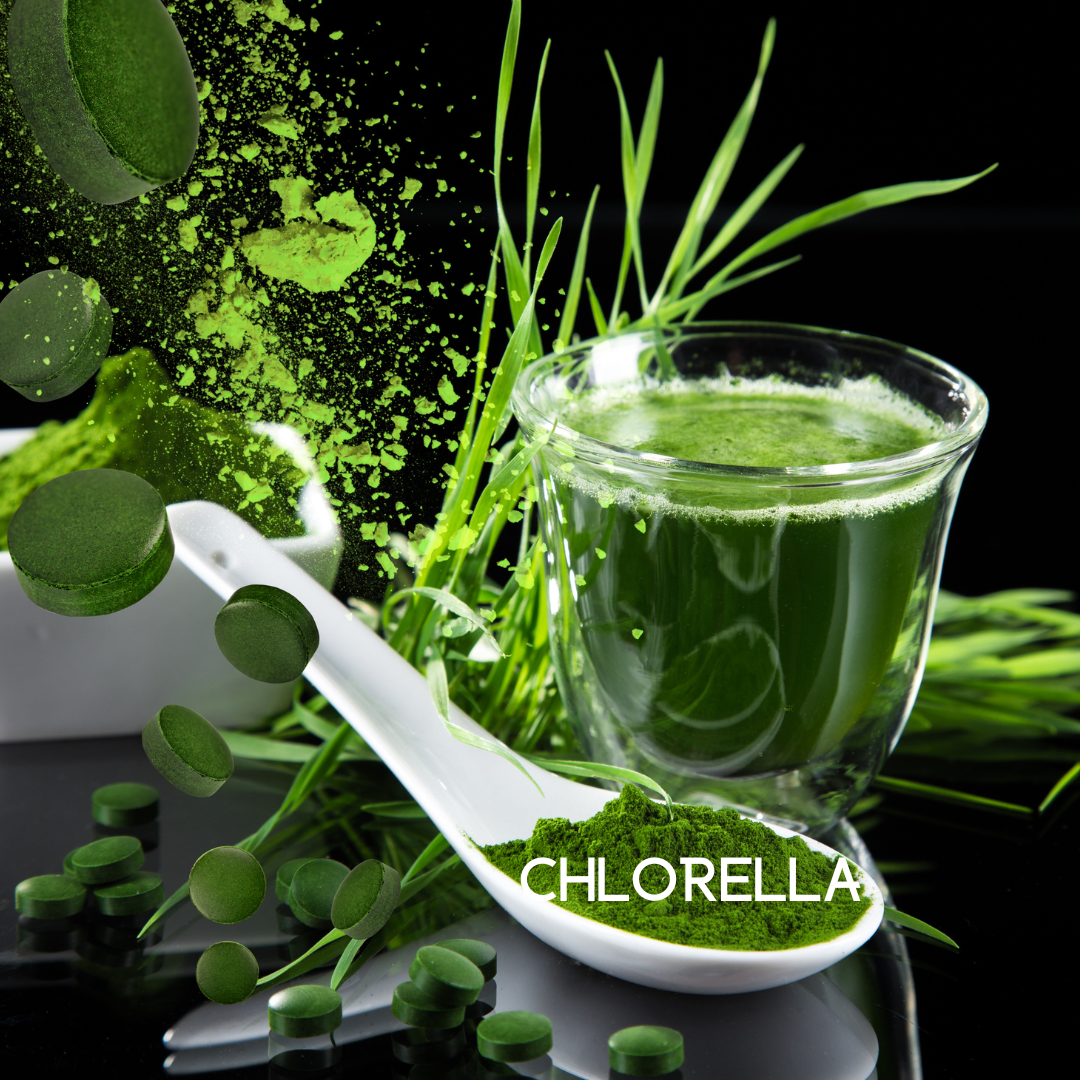 Colon Cleanse supplement ingredient: chlorella in glass with green powder specks