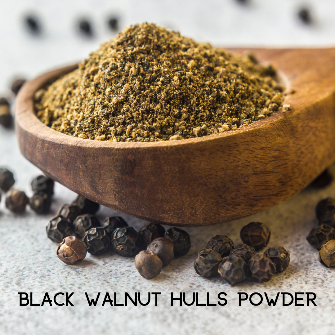 Colon Cleanse supplement ingredient: black walnut hulls powder in wooden bowl