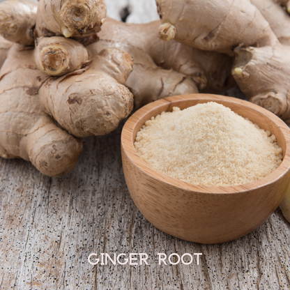 Colon Cleanse supplement ingredient: ginger root with ground ginger in wooden bowl