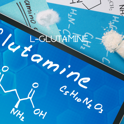 L-Glutamine supplement graphic with white powder and “L-GLUTAMINE” text