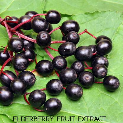 Elderberry fruit extract with dark berries on leaves and “ELDERBERRY FRUIT EXTRACT” text