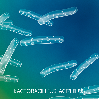 Immune support supplement, blue bacteria rod illustration