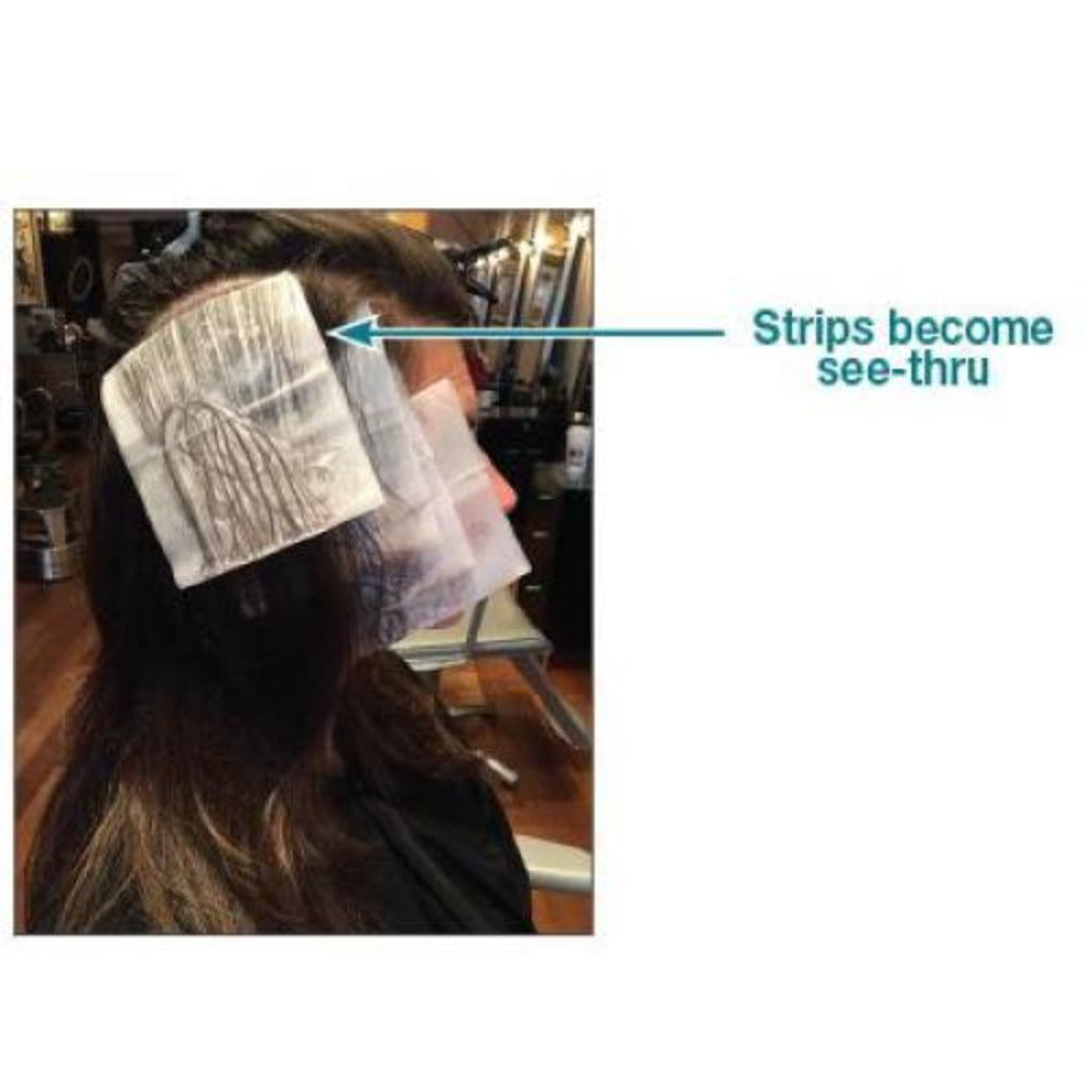 Eco-Wraps See-Through Degradable Highlighting Strips - 200 Sheets - Renee Lane Company