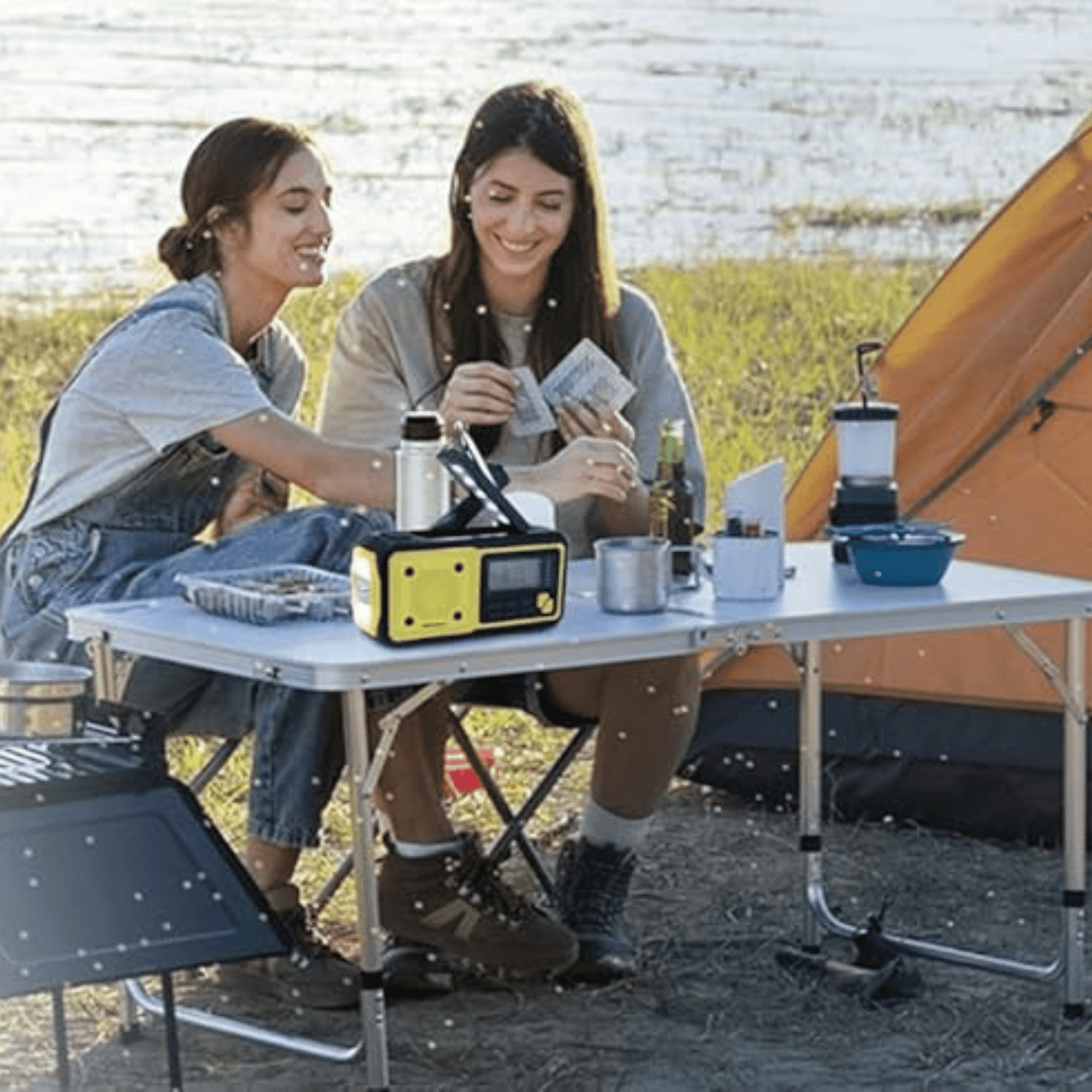 Emerson Emergency AM / FM Radio with Weather Band / Flashlight / Power Bank - Renee Lane Company