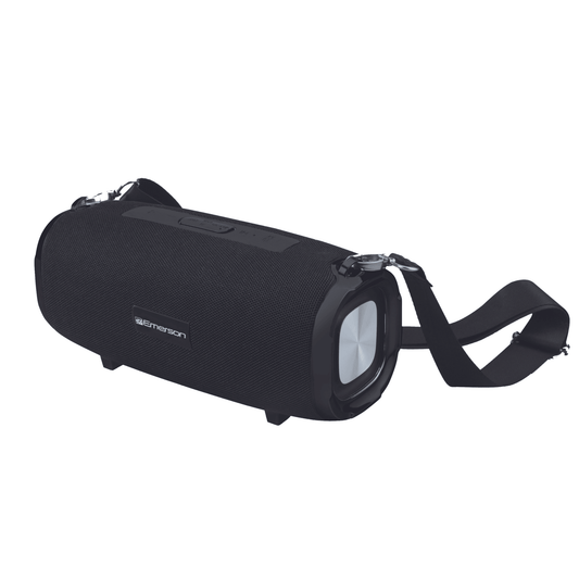 Emerson Portable Bluetooth Speaker with Carrying Strap - Renee Lane Company