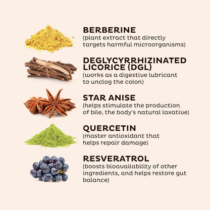 Gut health supplement ingredient graphic showing berberine, DGL, star anise, quercetin, resveratrol