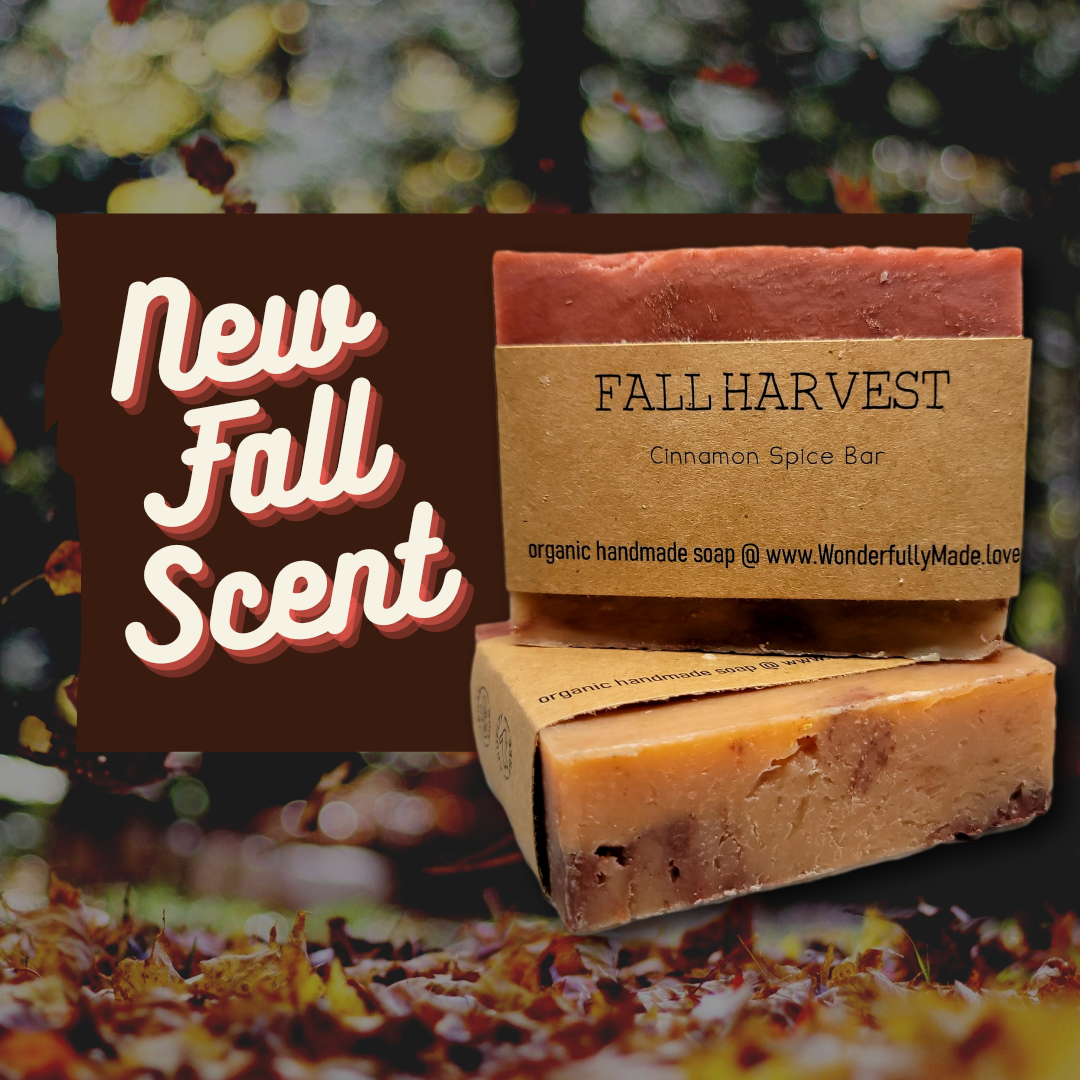 Fall Harvest Soap Bar | Limited Edition | Natural | Handmade - Renee Lane Company