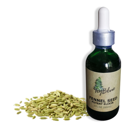Fennel Seed Elixir - Renee Lane Company