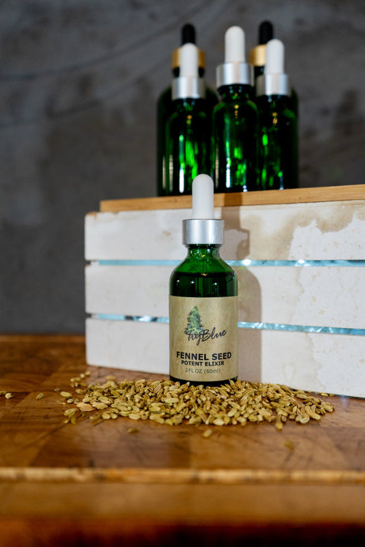 Fennel Seed Elixir - Renee Lane Company