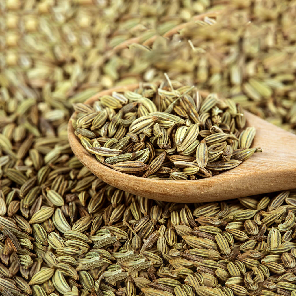 Fennel Seed Elixir - Renee Lane Company