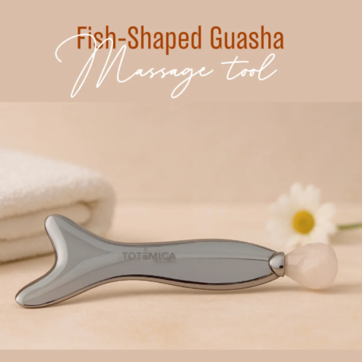 Fish-Shaped Scraping Plate - Renee Lane Company